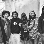 Rootz Underground - List pictures