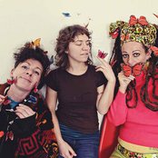 Slits - List pictures