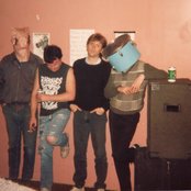 The Virgins - List pictures