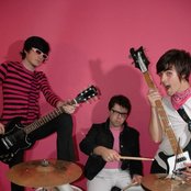 Pink Spiders - List pictures