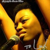 Lira - List pictures