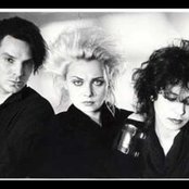 Xmal Deutschland - List pictures