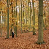 Pole - List pictures