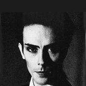 Peter Murphy - List pictures
