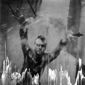 Penguin Prison - List pictures