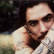 Dave Navarro - List pictures