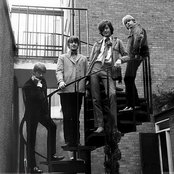 Yardbirds - List pictures