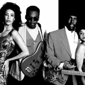 Chic - List pictures