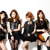 Lovendor - List pictures