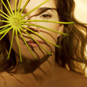 Daniela Mercury - List pictures