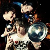 Wombats - List pictures