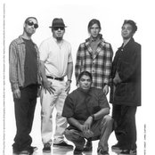 Infectious Grooves - List pictures