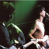 Chameleons - List pictures