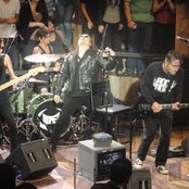 Viper - List pictures