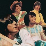 Lovin Spoonful - List pictures