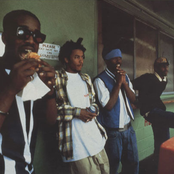 Pharcyde - List pictures