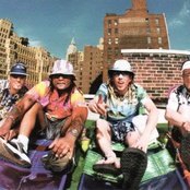 Jimmy's Chicken Shack - List pictures