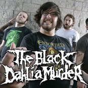 The Black Dahlia Murder - List pictures