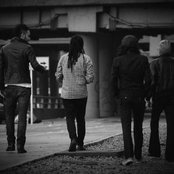 The Hall Effect - List pictures