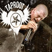 Taproot - List pictures