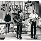 The Standells - List pictures