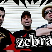 Zebrahead - List pictures