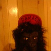 Damage - List pictures