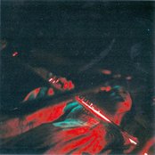 Rose Windows - List pictures