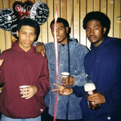 Playa - List pictures