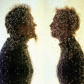 Lemon Jelly - List pictures