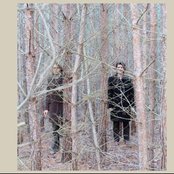 Tarwater - List pictures