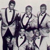 The Paragons - List pictures