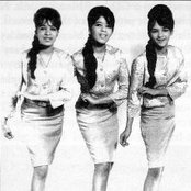 The Ronettes - List pictures