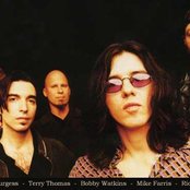 The Screamin' Cheetah Wheelies - List pictures