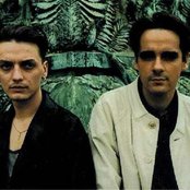 Wolfsheim - List pictures