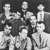 Oingo Boingo - List pictures