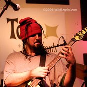 Bumblefoot - List pictures