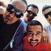 Molotov - List pictures