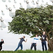 Fujiya & Miyagi - List pictures