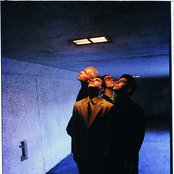 Plankeye - List pictures