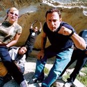 Shelter - List pictures