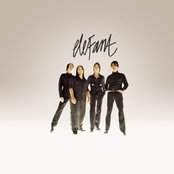 Elefant - List pictures