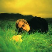 Bang Gang - List pictures