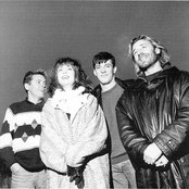 New Order - List pictures