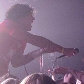 The Flamingos - List pictures