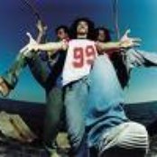 Macaco - List pictures