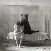 Felly - List pictures