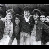 Crvena Jabuka - List pictures