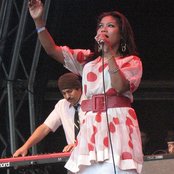 Dengue Fever - List pictures