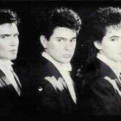 Arcadia - List pictures